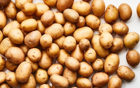 تصویر 5 از خرید و قیمت سیب زمینی صادراتی + فروش عمده